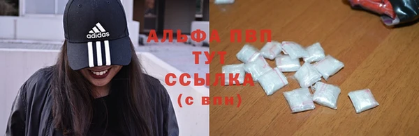 PSILOCYBIN Киренск