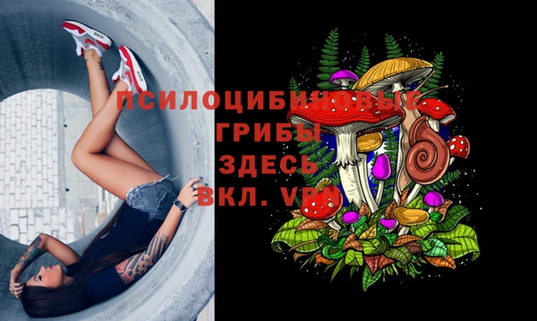 крисы Алексеевка