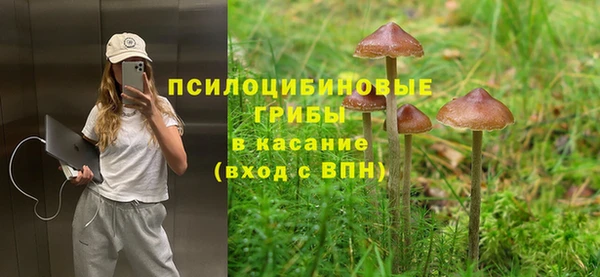 PSILOCYBIN Алексин