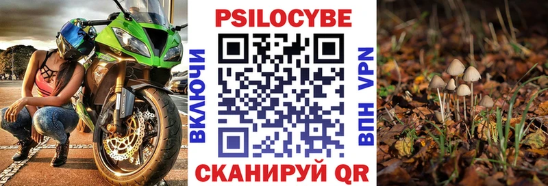 Псилоцибиновые грибы Psilocybe  Пошехонье 